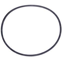 Picture of O-Ring
