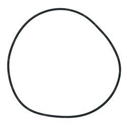 Picture of O-Ring - Brake Piston