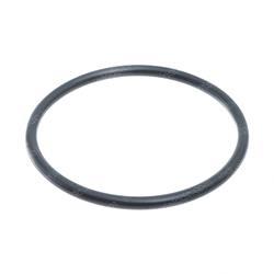 Picture of O-Ring