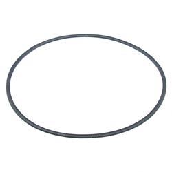 Picture of Seal