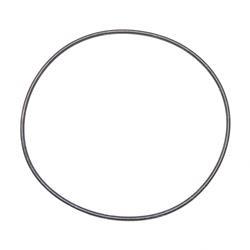 Picture of O-Ring