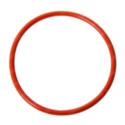 Picture of O-Ring