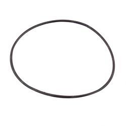 Picture of O-Ring