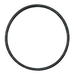 Picture of O-Ring