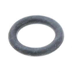Picture of O-Ring