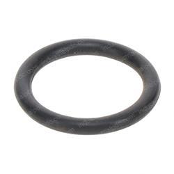 Picture of O-Ring