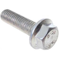 Picture of Bolt