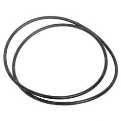 Picture of O-Ring