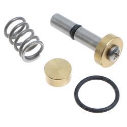 Picture of O-Ring Used on Stem of Valve