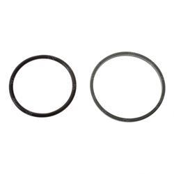 Picture of Seal
