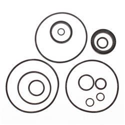 Picture of Seal Kit - Motor