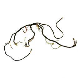 Picture of Harness