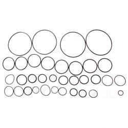 Picture of O-Ring Kit