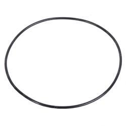 Picture of O-Ring