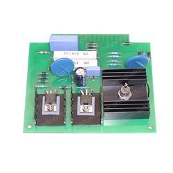 Picture of Printed Boar