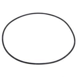 Picture of O-Ring