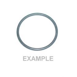 Picture of O-Ring