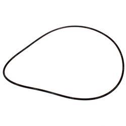 Picture of Seal