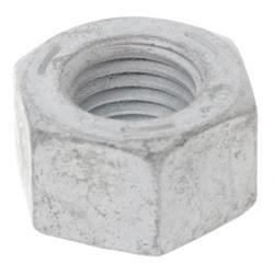 Picture of Nut