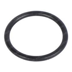 Picture of O-Ring