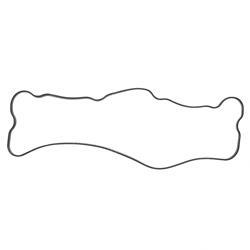 Picture of Gasket