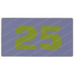 Picture of Decal - Model 25