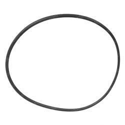 Picture of O-Ring