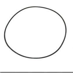 Picture of O-Ring