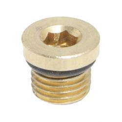 Picture of Plug Threaded