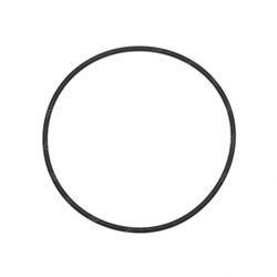 Picture of O-Ring