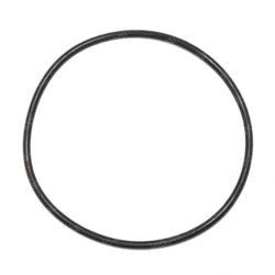 Picture of O-Ring