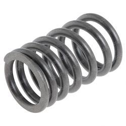 Picture of Spring- Valve Intake/Exhaust
