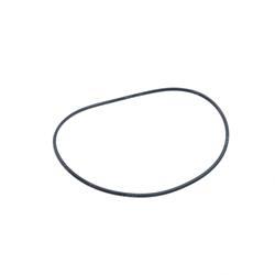Picture of O Ring Seal