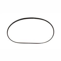 Picture of Belt - Serpentine