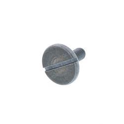 Picture of Screw