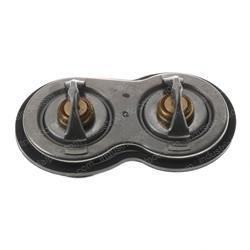 Picture of Water Thermostat