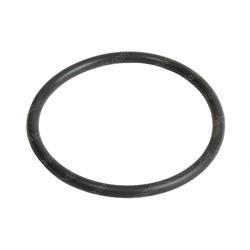 Picture of O-Ring