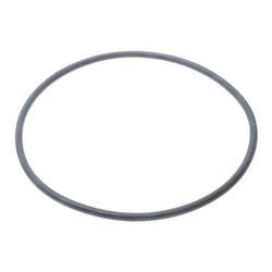 Picture of O-Ring