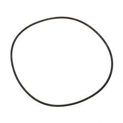 Picture of O-Ring