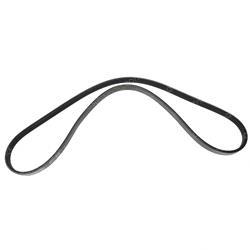 Picture of Belt
