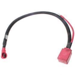 Picture of Cable- Positive