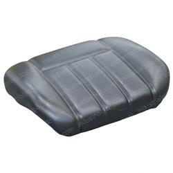 Picture of Cushion Assembly