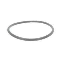 Picture of O-Ring