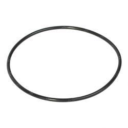 Picture of O-Ring