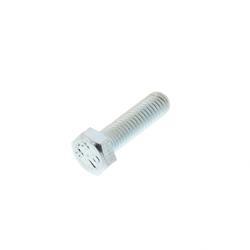 Picture of Bolt
