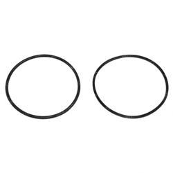 Picture of O-Ring