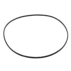 Picture of Seal