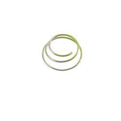 Picture of Spring - Green