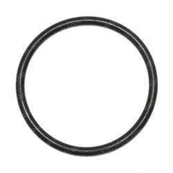 Picture of O-Ring