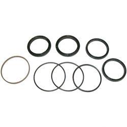 Picture of Overhaul Kit - Cylinder